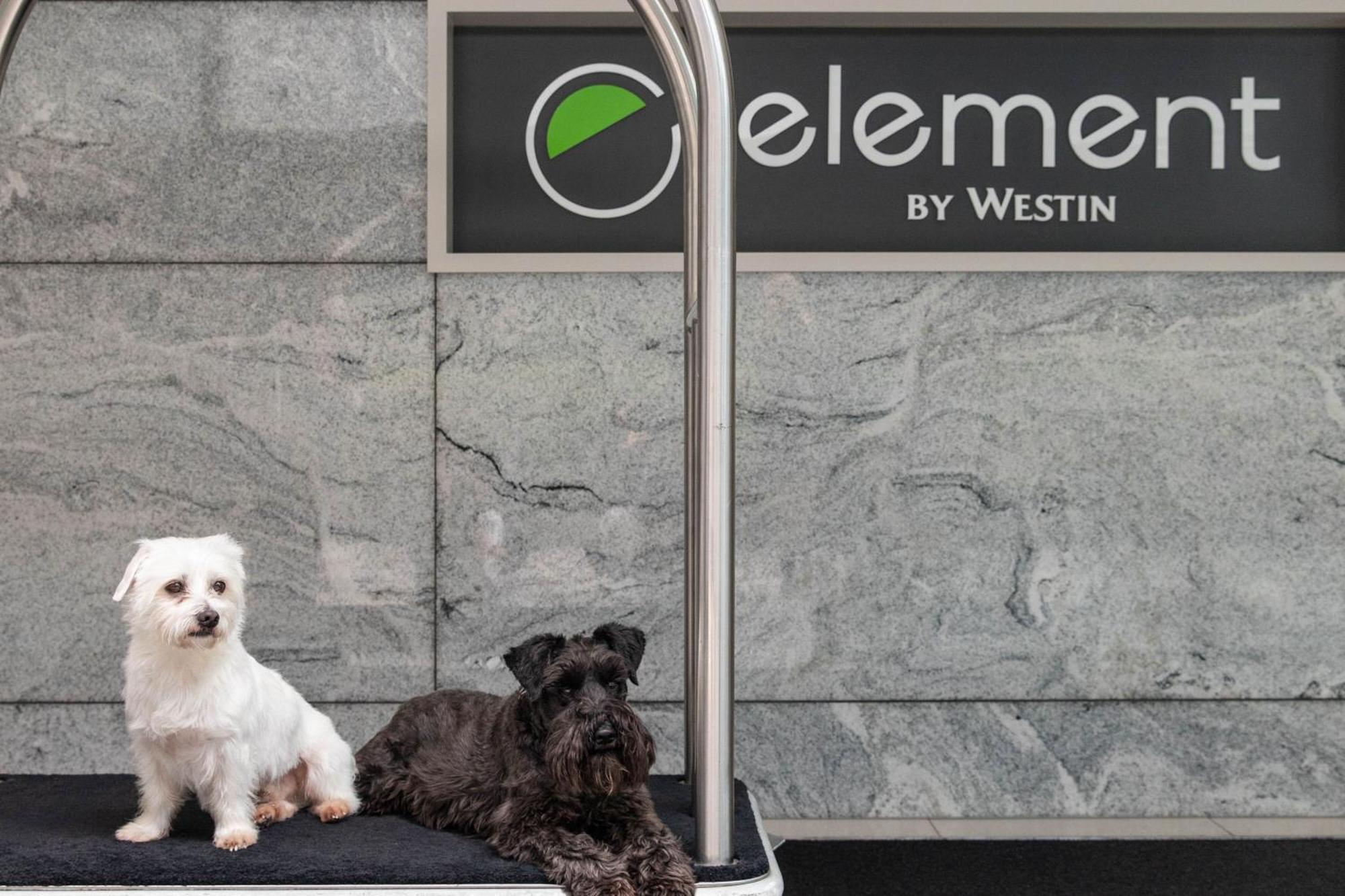 Element Melbourne Richmond Hotel Exterior photo